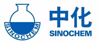 國企改革新進展 多家石油企業(yè)入圍‘雙百行動’，百墩實業(yè)展現(xiàn)新活力